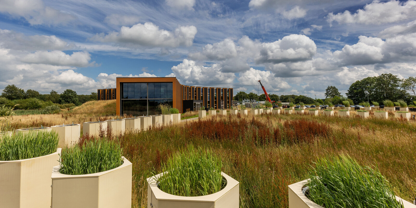 Biosintrum met mesokosmos Foto R Hooyenga