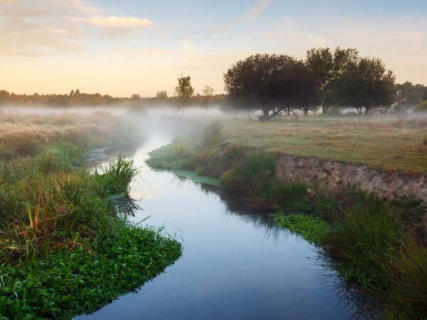 Klimaatrobuuste Beeklandschappen